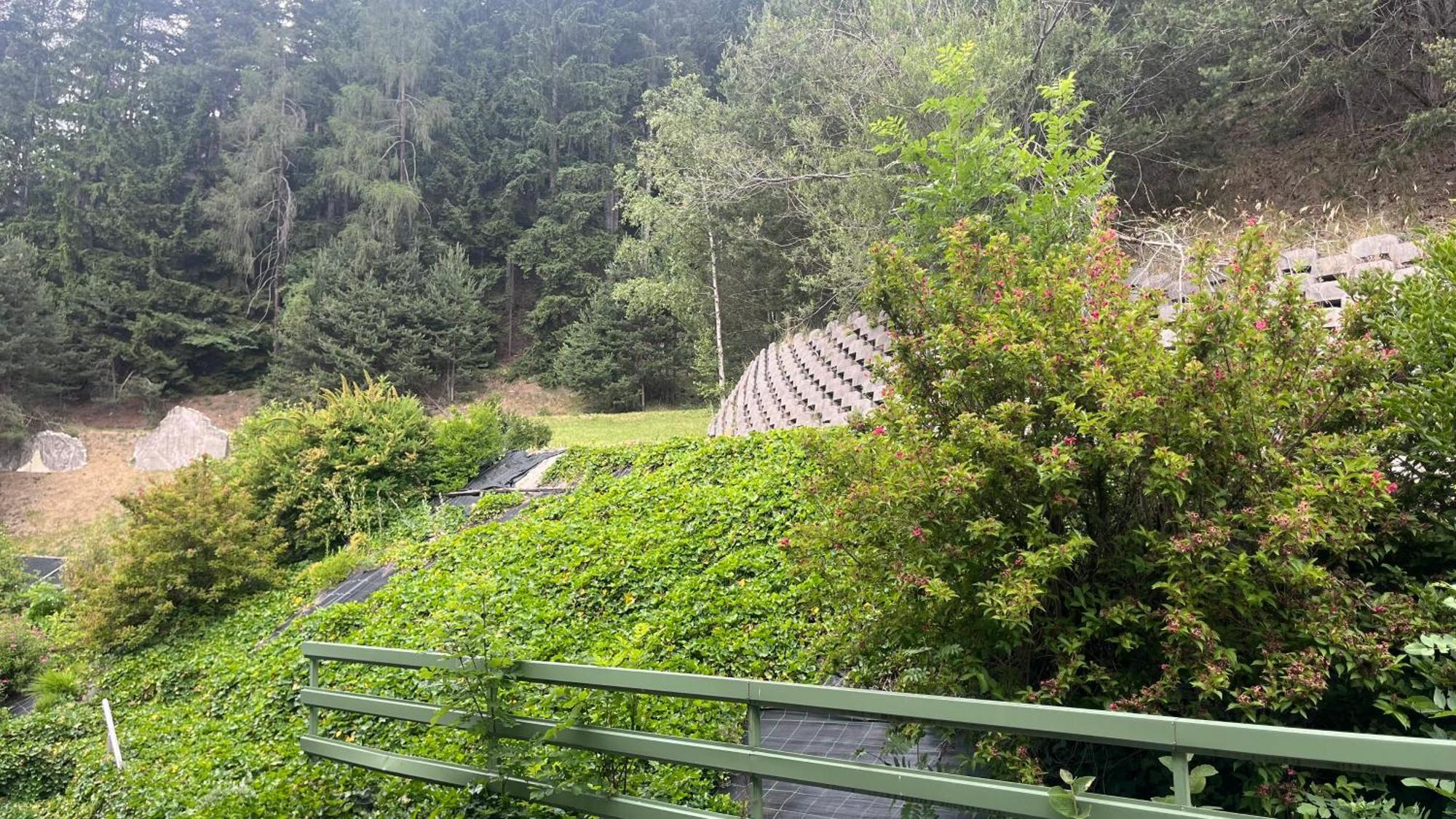 Hotel Saxl Campo di Trens Eksteriør billede